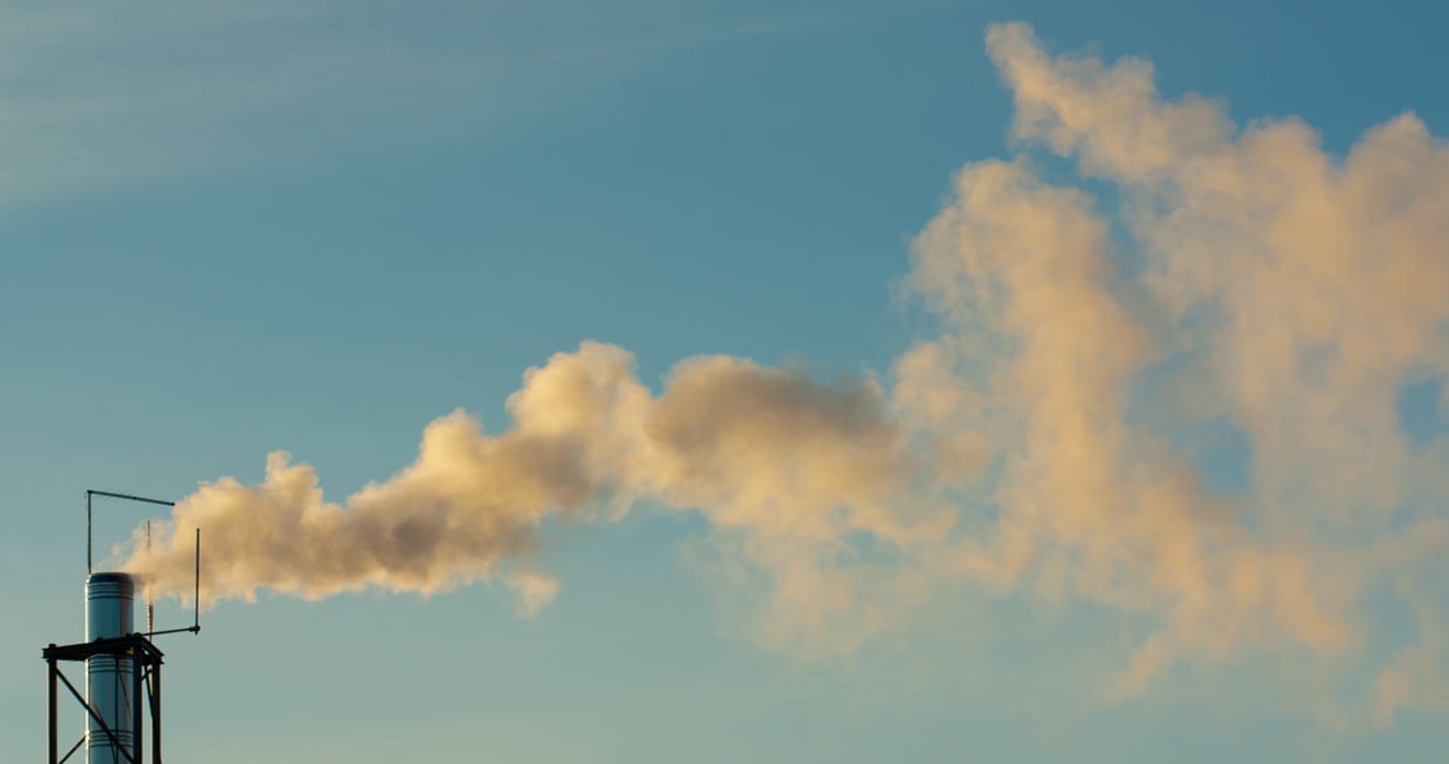 Large-Scale Carbon Capture + Sequestration | Project | Audubon